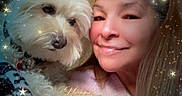 Marcopolo joined the competition — help win amazing prizes! woman, dog, pet, portrait, smile, face, fur, blanket, indoors, cozy, happy, long_hair, white_dog, star_effects, text_overlay, new_year, celebration, closeup, female, casual