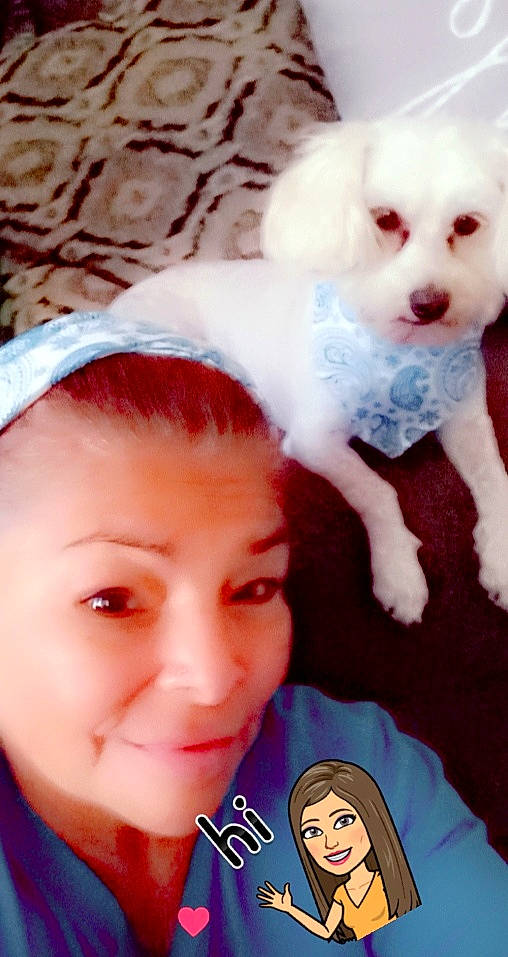 Marco Polo is registered to the contest to win money with this photo: canidae, cheek, child, companion_dog, dog_breed, ear, eye, head, lip, nose, puppy_love, skin, smile