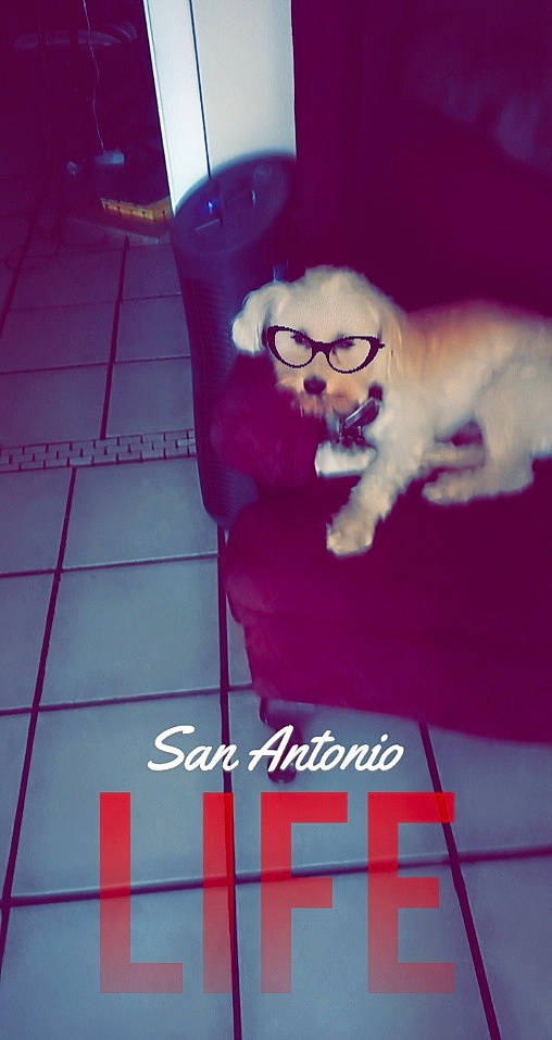 Marco Polo is registered to the contest to win money with this photo: photo_caption