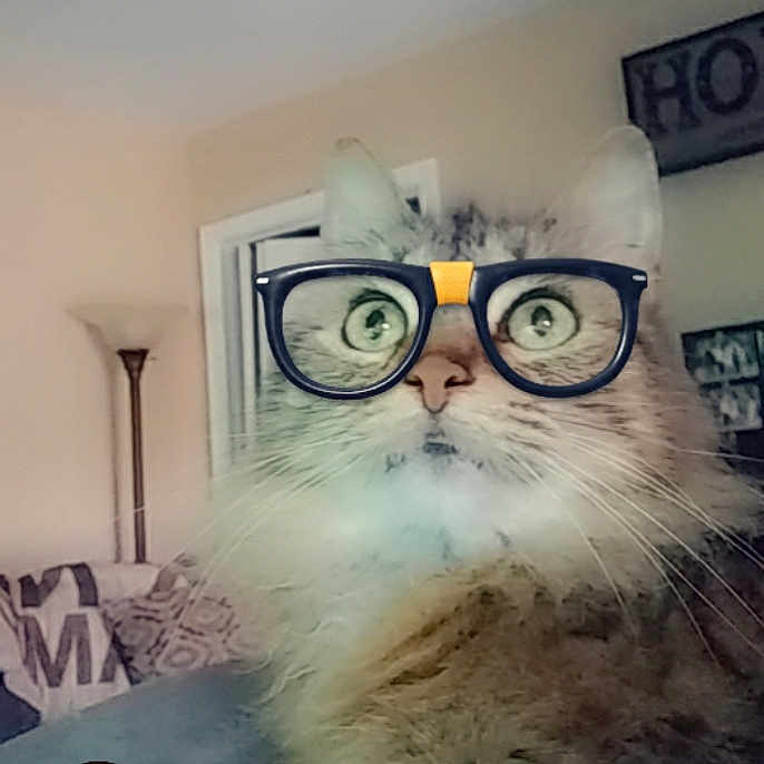 Kikki