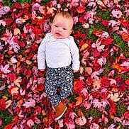 Raven Eclipse is registered to the contest to win money with this photo: autumn, baby, blue_eyes, brown_shoes, child, clothing, colorful, face, fall_colors, grass, infant, leaves, lying_down, maple_leaves, nature, outdoor, patterned_pants, portrait, seasonal, smiling