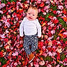 autumn, baby, blue_eyes, brown_shoes, child, clothing, colorful, face, fall_colors, grass, infant, leaves, lying_down, maple_leaves, nature, outdoor, patterned_pants, portrait, seasonal, smiling