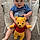 Brayden