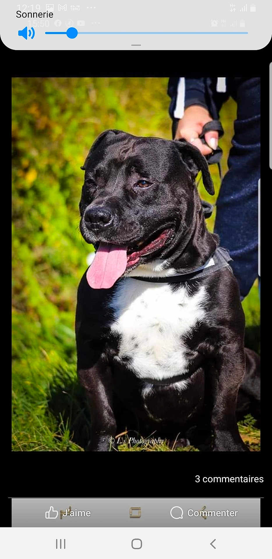 Pako