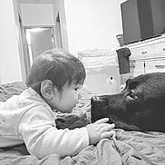 Estrella is registered to the contest to win money with this photo: baby, dog, bed, blanket, indoor, face, portrait, pet, child, animal, home, furniture, television, dresser, curious, closeup, monochrome, cozy, toddler, interaction