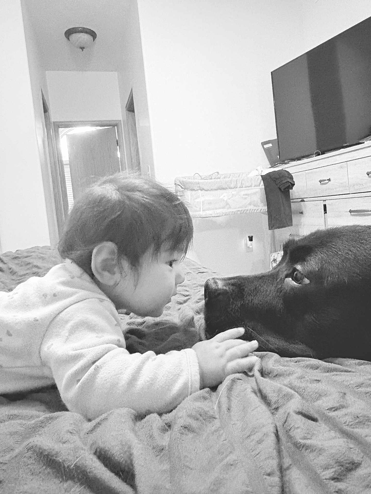 Estrella is registered to the contest to win money with this photo: baby, dog, bed, blanket, indoor, face, portrait, pet, child, animal, home, furniture, television, dresser, curious, closeup, monochrome, cozy, toddler, interaction