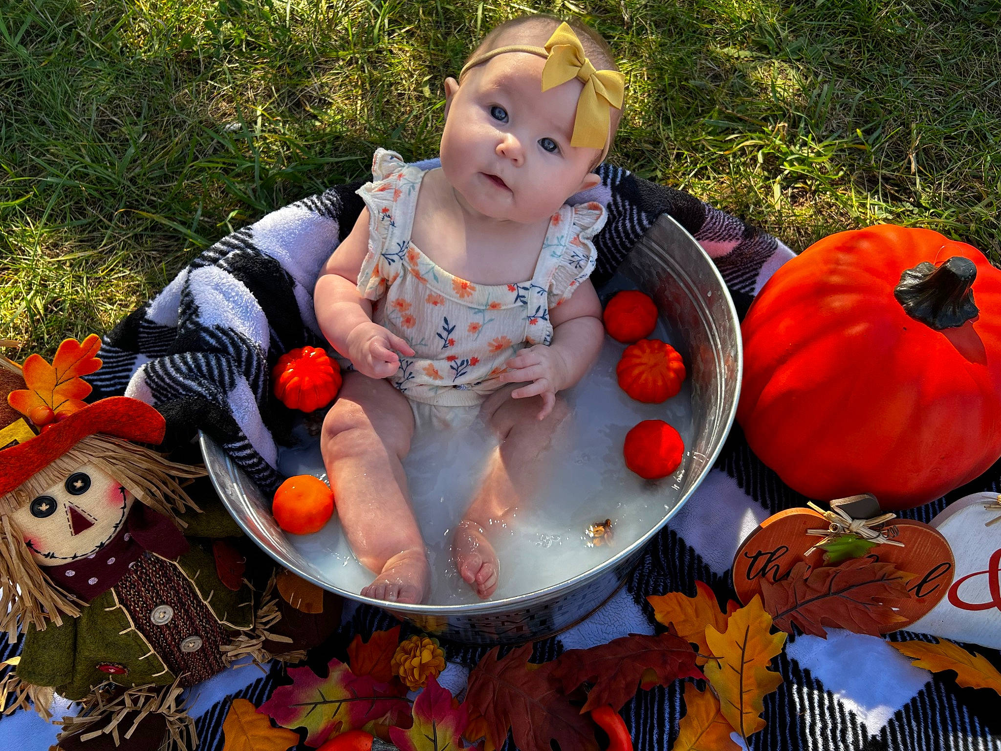 Raelynn joined the competition — help win amazing prizes! art, baby_toddler_clothing, calabaza, cucurbita, doll, gourd, grass, happy, leisure, natural_foods, orange, people_in_nature, person, plant, pumpkin, sitting, squash, toy, vegetable, whole_food