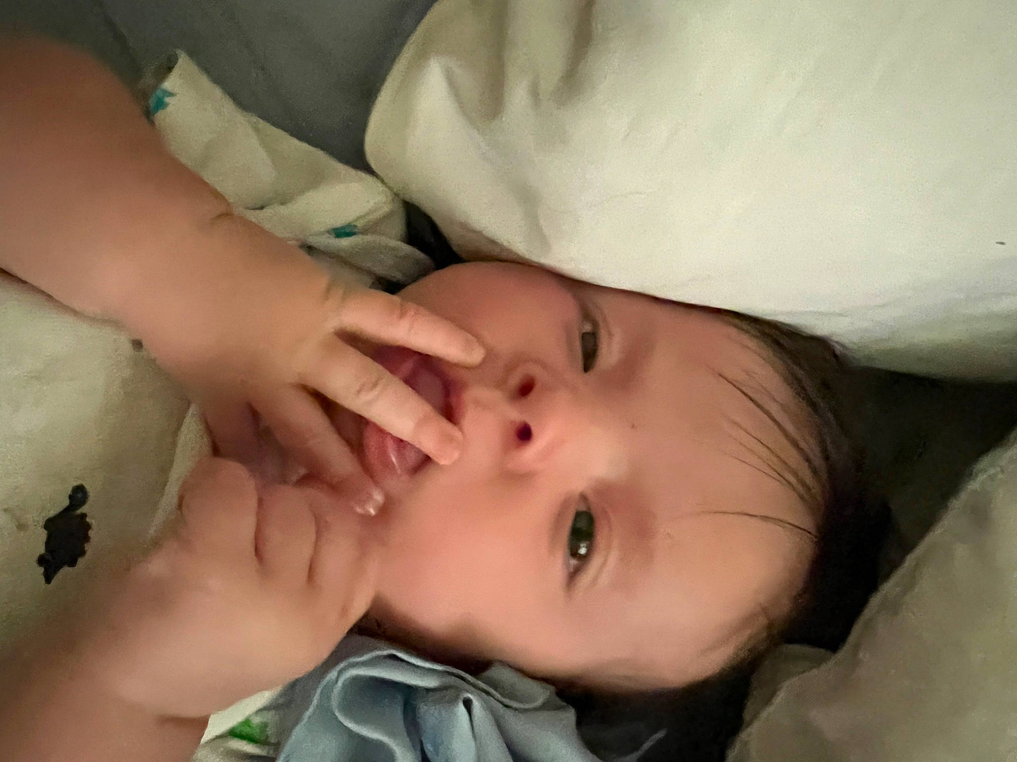 Delilah is registered to the contest to win money with this photo: baby, baby_toddler_clothing, cheek, child, comfort, ear, eye, eyebrow, eyelash, finger, gesture, happy, lip, mammal, mouth, neck, nose, person, skin, textile