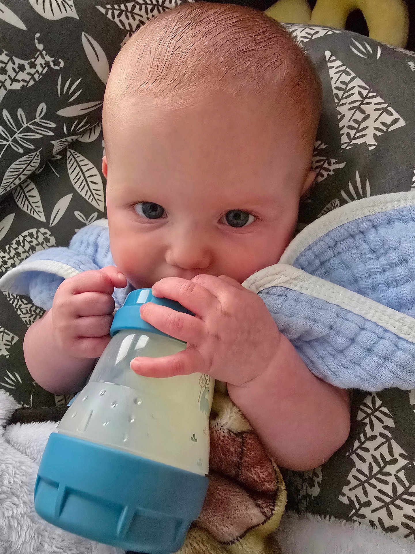 Jayce joined the competition — help win amazing prizes! baby, bottle, blanket, blue, child, cute, face, feeding, hands, infant, looking, milk, person, portrait, resting, soft, toddler, warm, wrapped, young