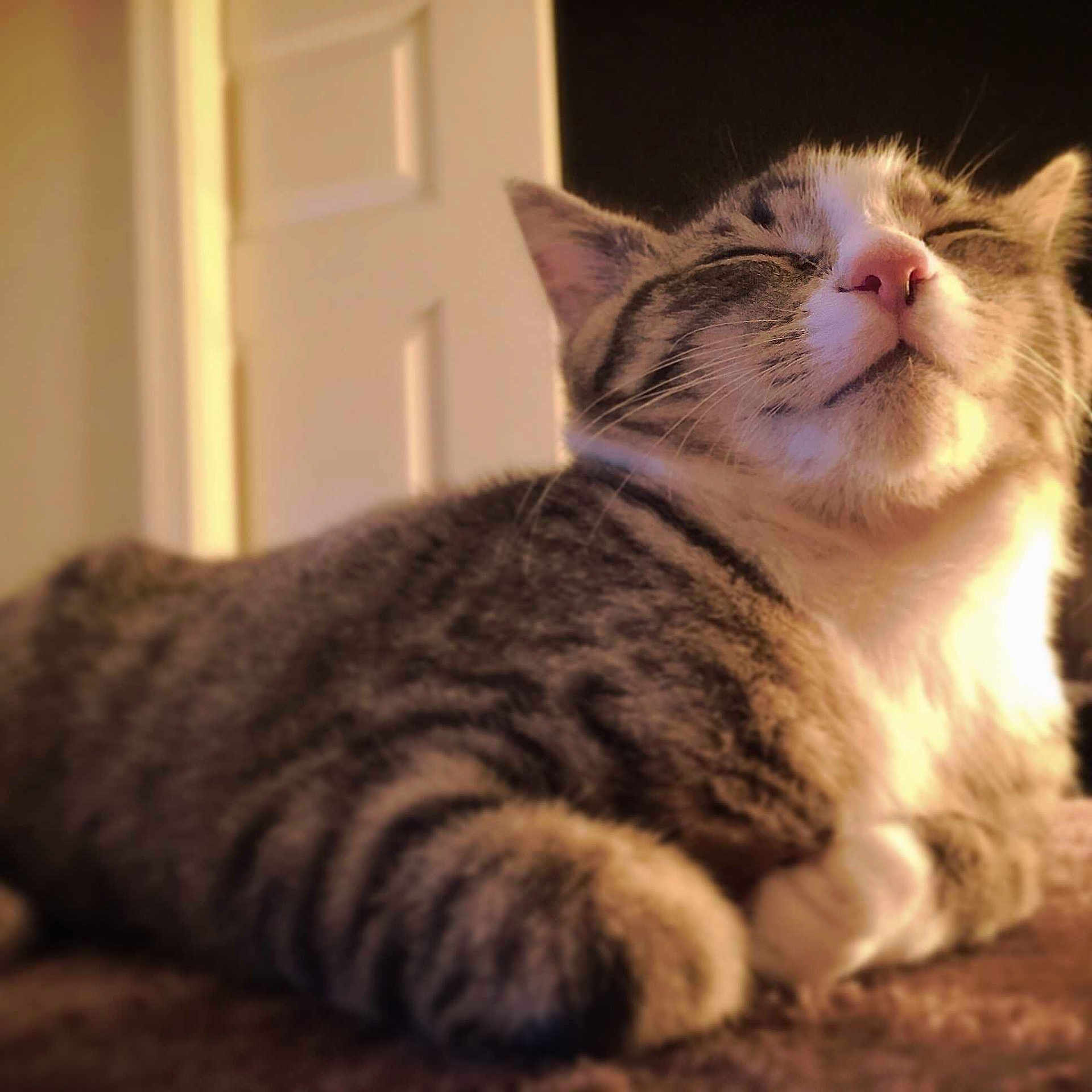 Maverick is registered to the contest to win money with this photo: