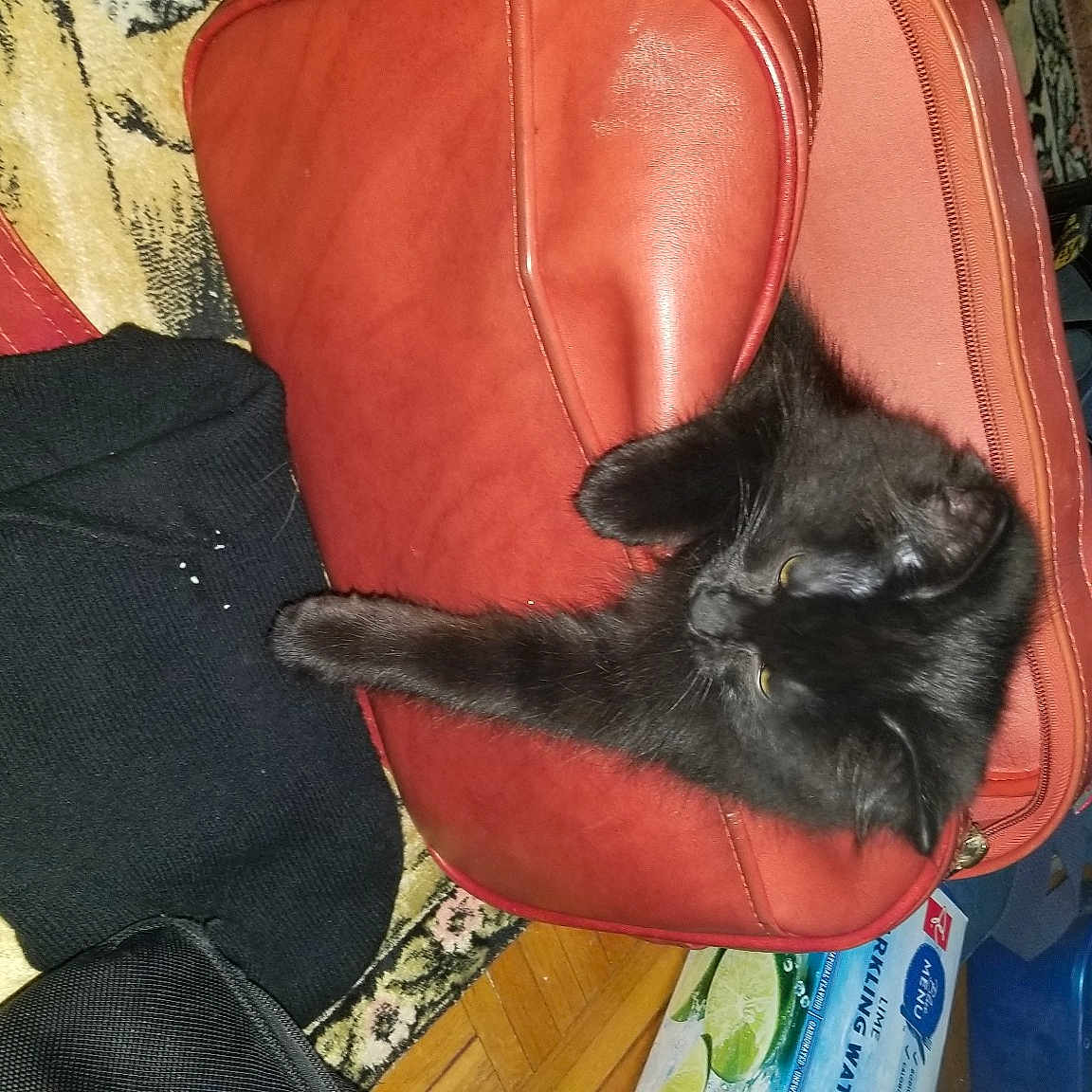 Johnny Lee Drapurr