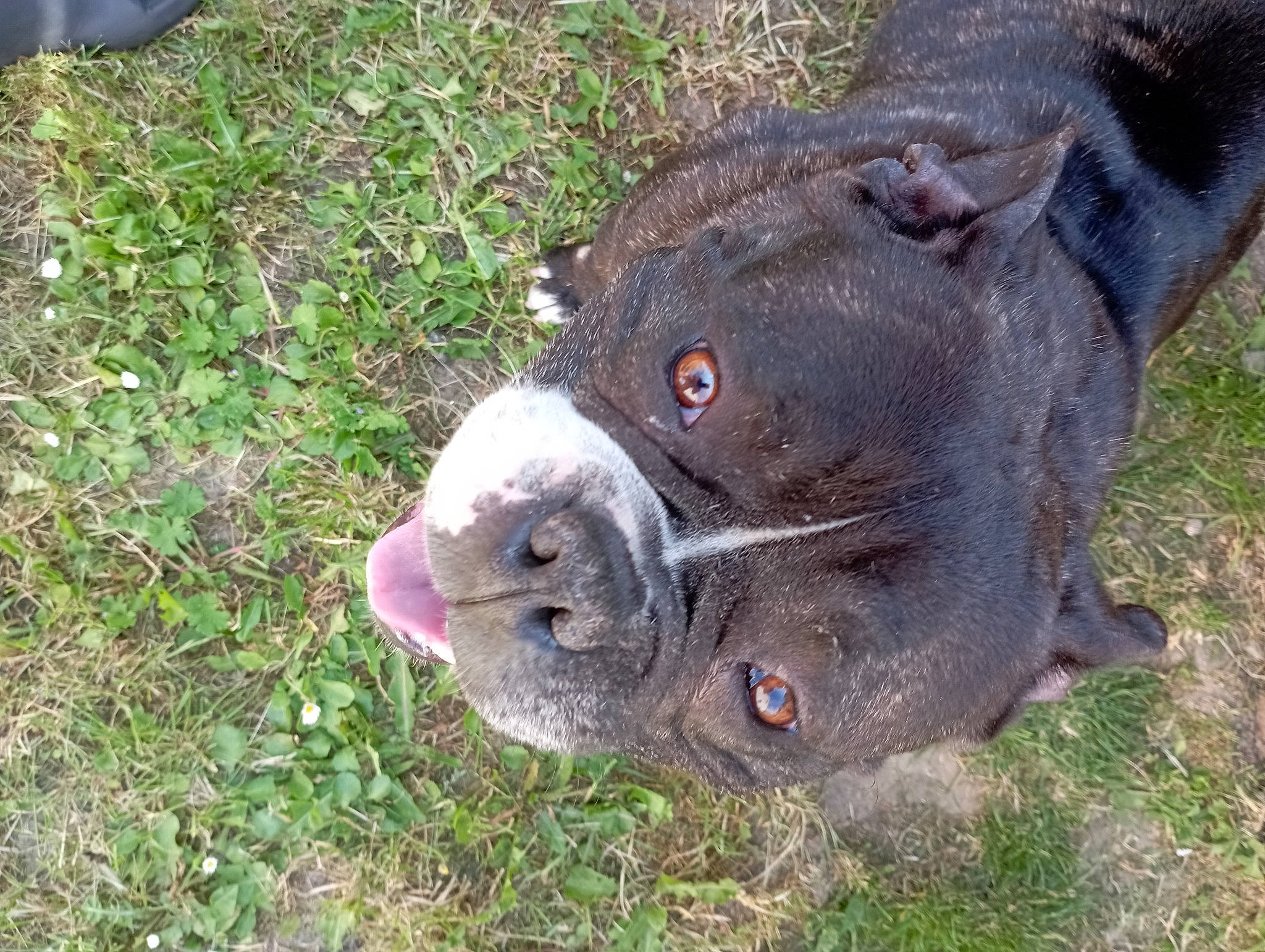 Gucci a rejoint le concours — aidez-le/la à gagner de superbes lots ! fawn, grass, koala, marsupial, snout, terrestrial_animal, whiskers, wildlife, working_animal