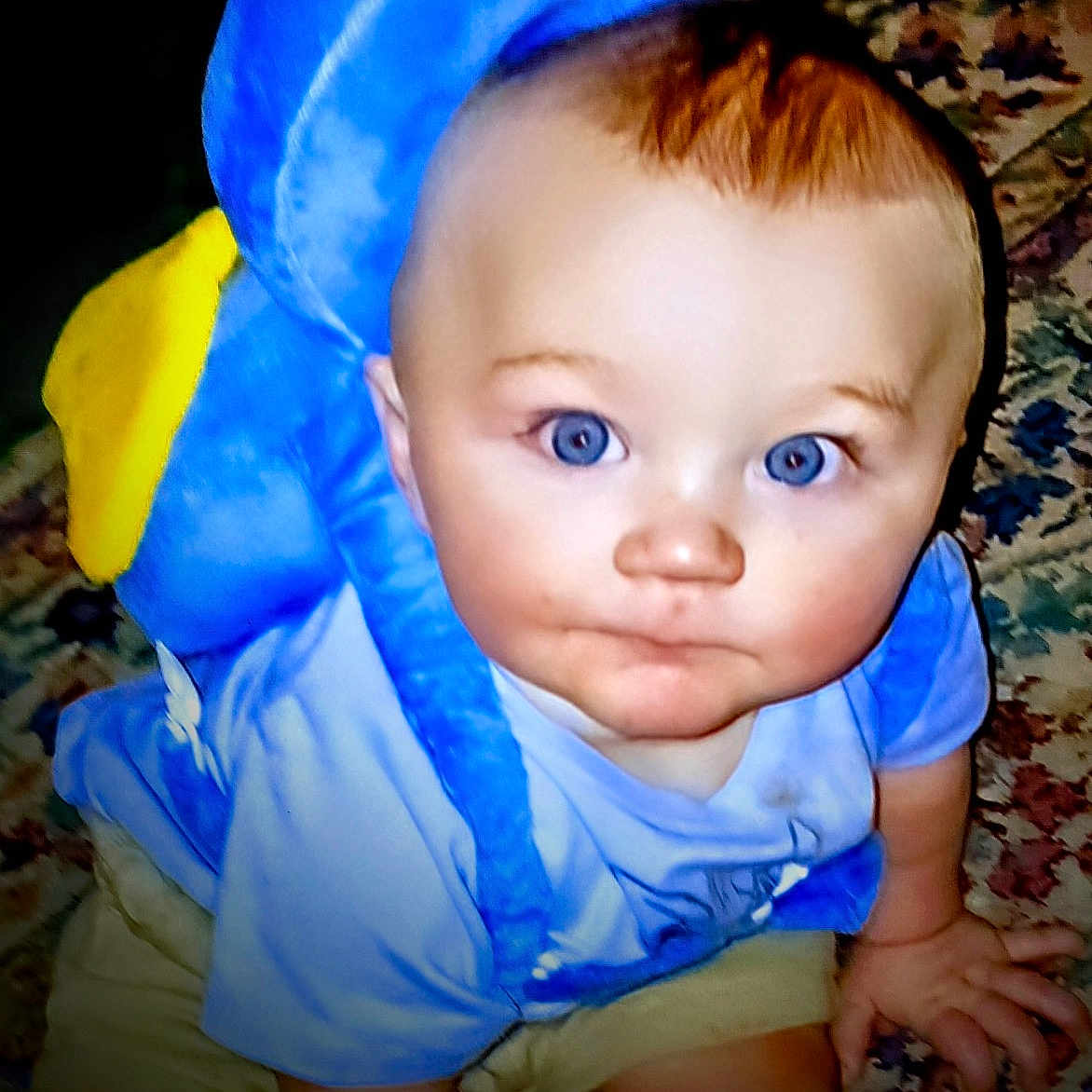 Carter is registered to the contest to win money with this photo: baby, bodypart, clothing, costume, couch, crawling, cushion, face, finger, hand, hat, head, homedecor, indoors, newborn, person, photography, plush, portrait, toy