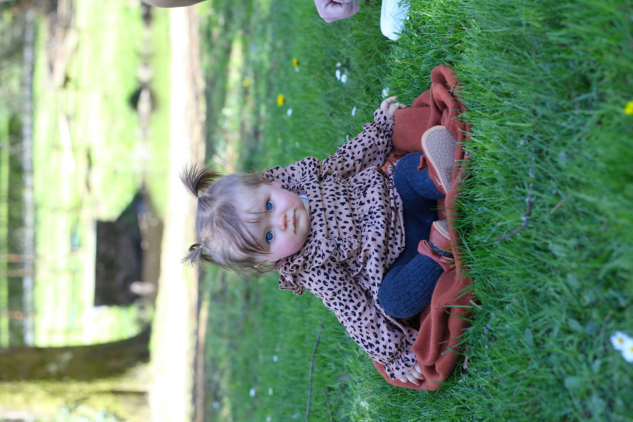 Ellie Rose a rejoint le concours — aidez-le/la à gagner de superbes lots ! child, forest, fun, garden, grass, grass_family, green, happy, leisure, outdoor_play_equipment, people_in_nature, person, plant, play, recreation, smile, toddler, tree, trunk, wildlife