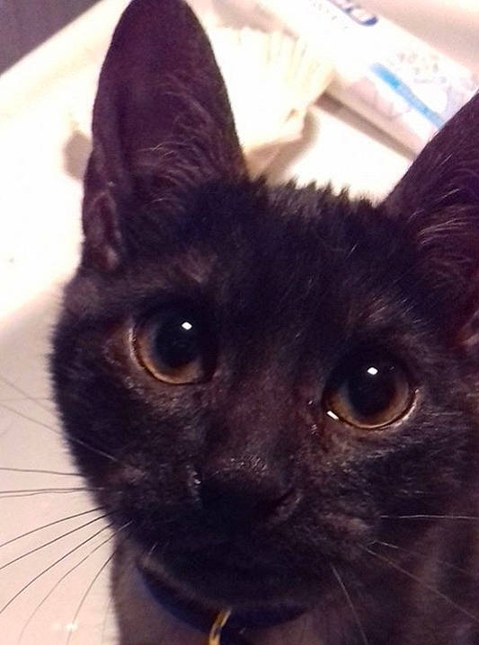Oscar