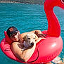 Army participe au concours pour gagner de l'argent avec cette photo : animal, cap, dog, flamingo, floating, inflatable, lake, leisure, man, mountain, nature, outdoor, pet, puppy, relaxing, summer, sunny, swimming, vacation, water
