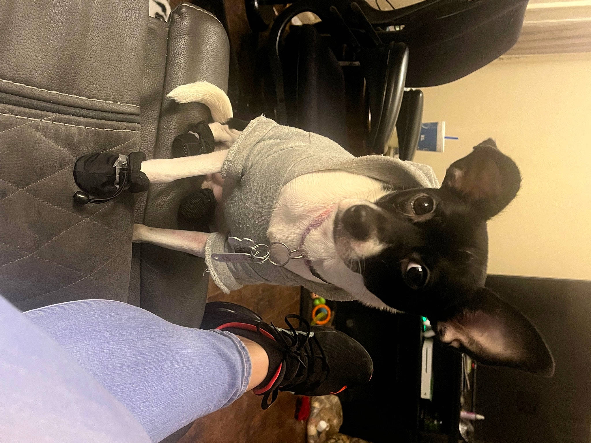 Dutches joined the competition — help win amazing prizes! auto_part, automotive_design, automotive_exterior, automotive_lighting, automotive_tire, bicycle_handlebar, bicycle_part, bicycle_saddle, carnivore, comfort, dog, elbow, fender, human_leg, personal_protective_equipment, tire, vehicle, vehicle_door, wheel, windshield