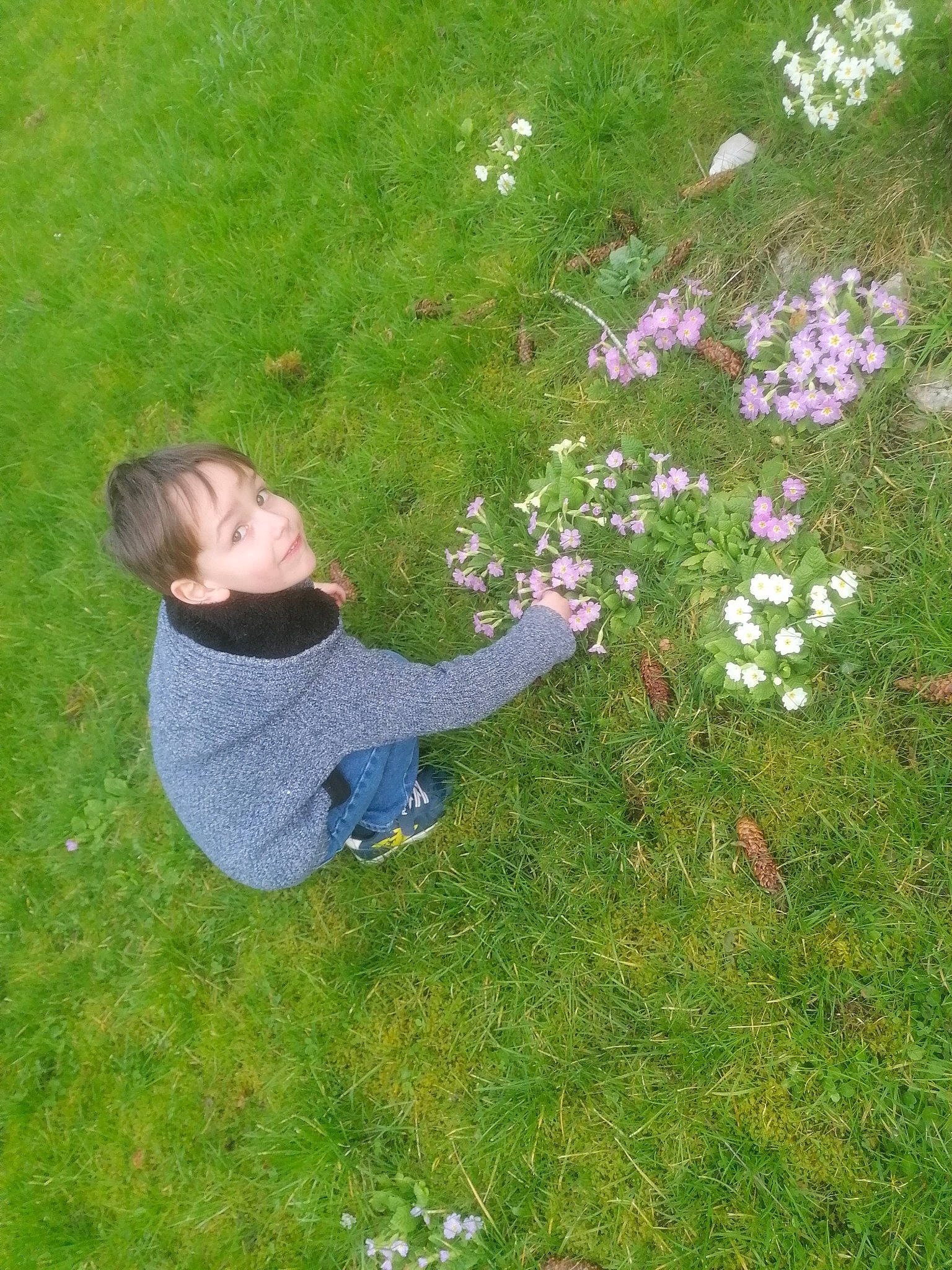 Valentin a rejoint le concours — aidez-le/la à gagner de superbes lots ! annual_plant, botany, flower, flowering_plant, garden, gardening, grass, grass_family, grassland, groundcover, herbaceous_plant, lawn, leisure, meadow, people_in_nature, person, petal, plant, shrub, toddler