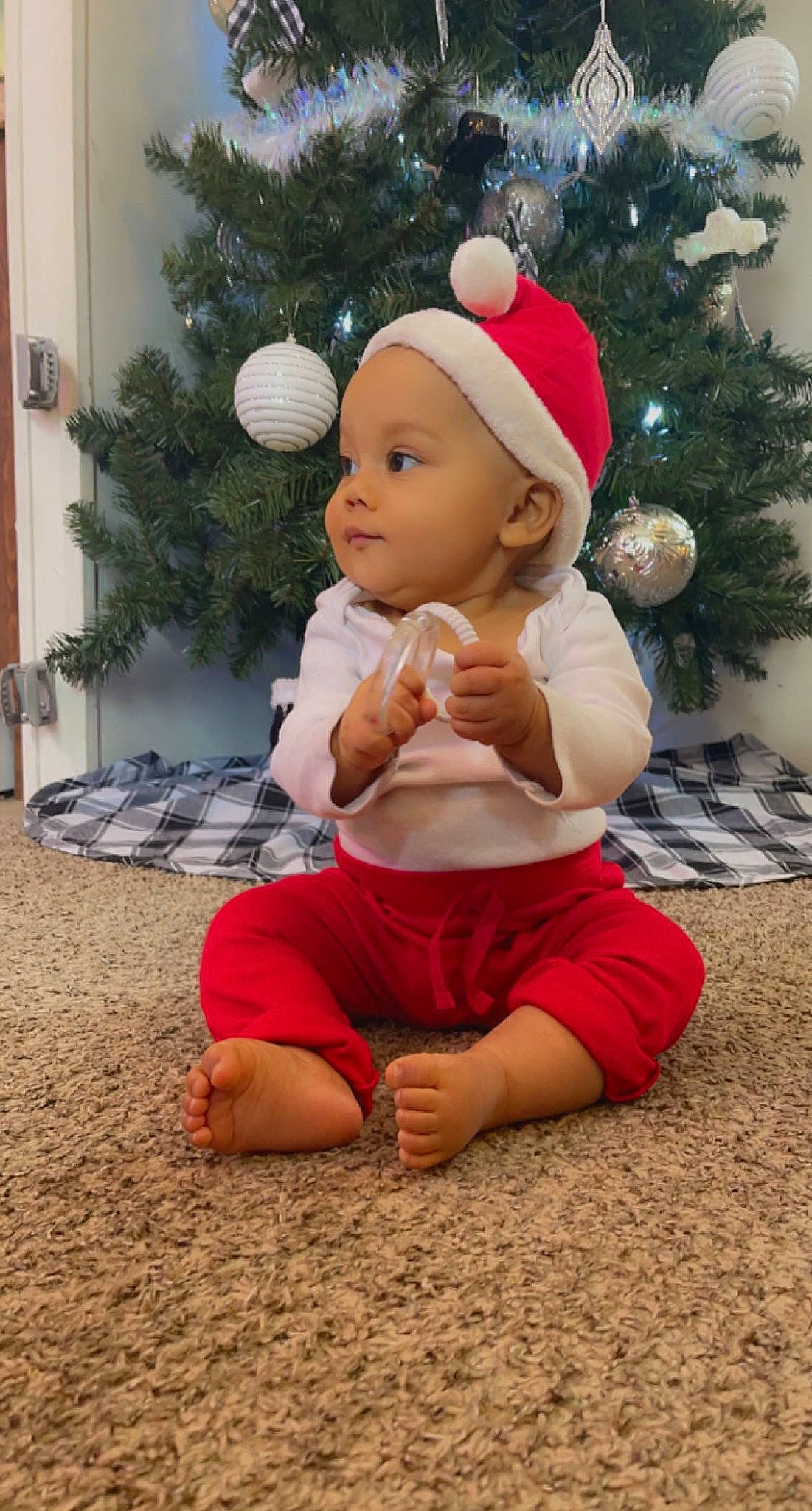 Armani joined the competition — help win amazing prizes! baby, christmas, christmas_ornament, christmas_tree, event, flooring, foot, grass, happy, hat, headwear, holiday, human_body, human_leg, leisure, ornament, person, plant, sitting, toddler