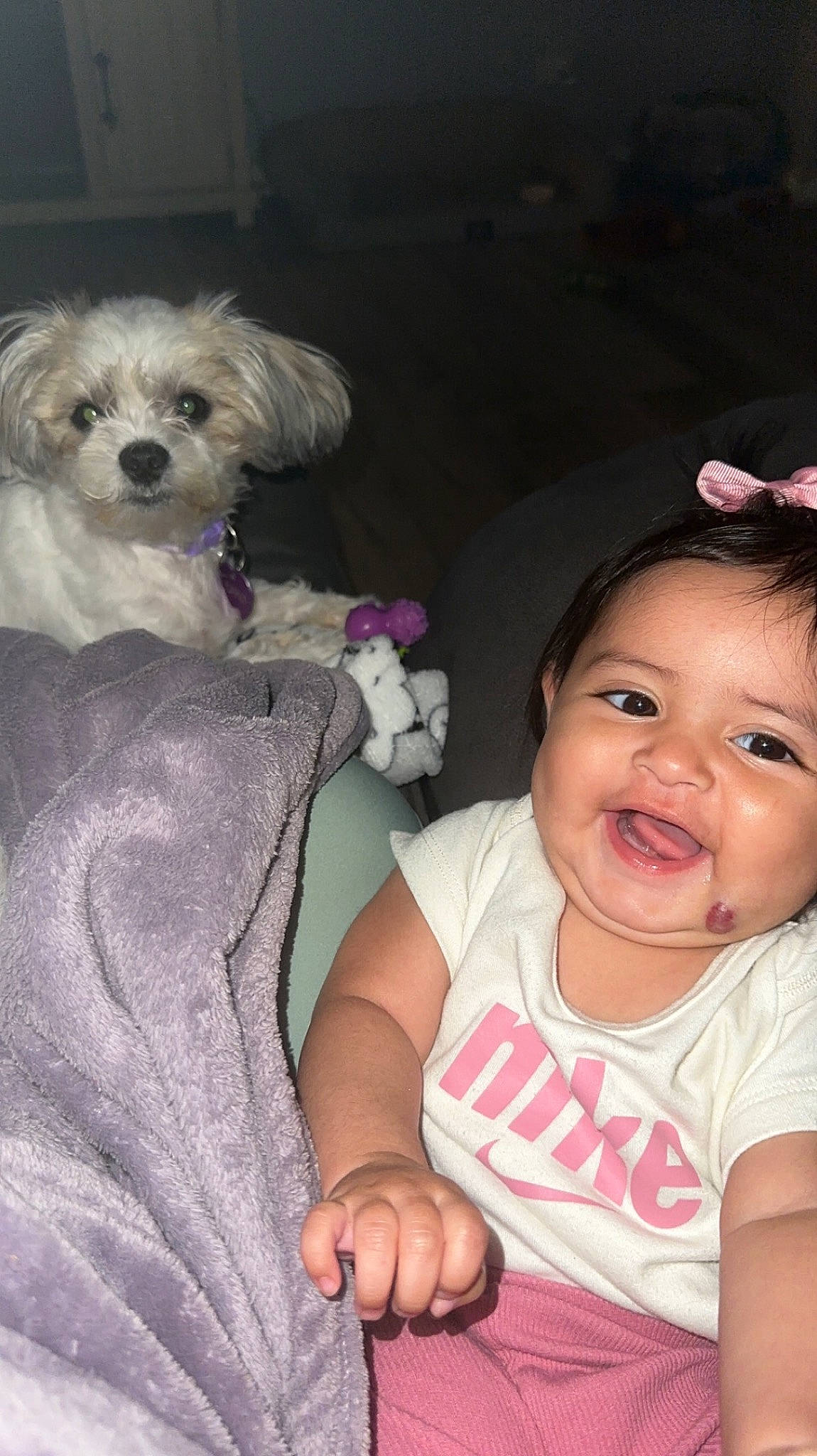 Alainna is registered to the contest to win money with this photo: baby_toddler_clothing, carnivore, companion_dog, dog, dog_breed, dog_clothes, dog_supply, fawn, gesture, hairstyle, happy, human, interaction, iris, organ, person, pink, skin, smile, toddler