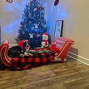Zeus joined the competition — help win amazing prizes! dog, santa_hat, christmas_tree, holiday_decorations, snowman, stocking, red_sleigh, blanket, flooring, wall_art, indoor, festive, lights, wood_floor, plaid_pattern, cozy, relaxing, pet, seasonal, celebration