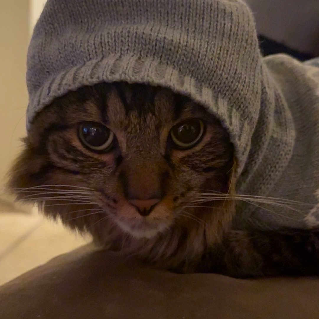 Milo