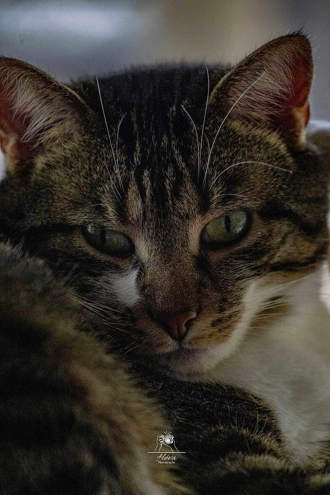 Una