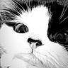 cat, close_up, black_and_white, whiskers, face, eyes, nose, fur, pet, animal, curious, portrait, macro, cute, feline, muzzle, expression, indoor, soft, sharp