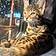 Cleo