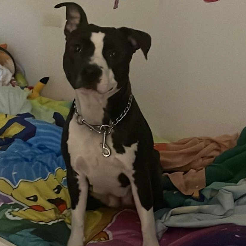 Keyla