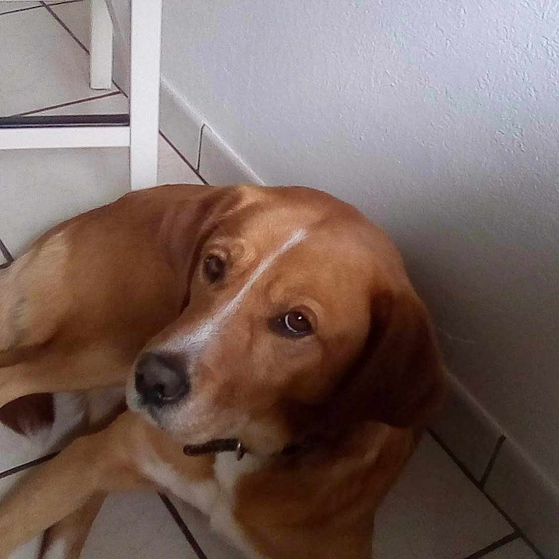 Caramel
