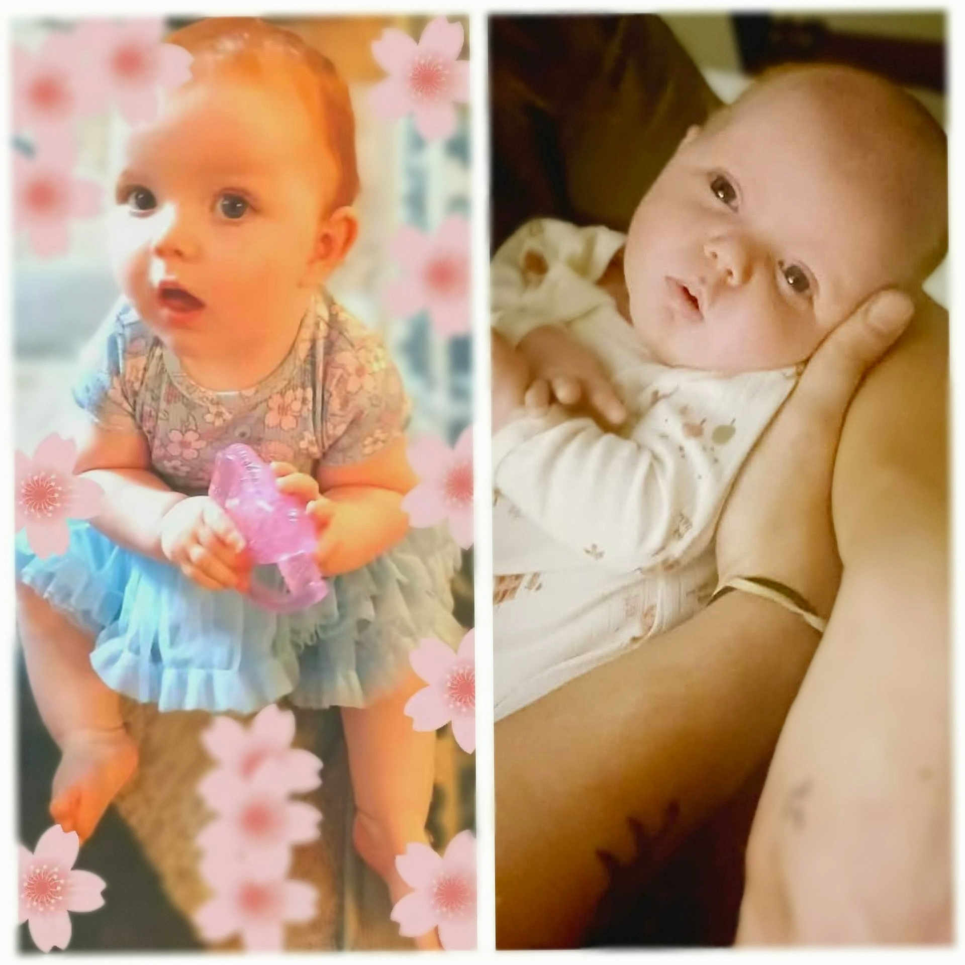 Daisy joined the competition — help win amazing prizes! baby, infant, child, toy, pink, blue, dress, sitting, holding, arm, cradling, closeup, portrait, cute, flower_overlay, collage, indoor, person, skin, face