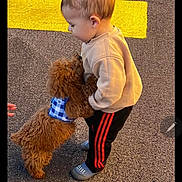 Noah is registered to the contest to win money with this photo: asphalt, baby, brown_dog, child, clothing, curious, cute, dog, footwear, harness, interaction, outdoor, pet, playful, puppy, side_view, small_dog, toddler, walking, yellow_line