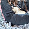 Chai Latte is registered to the contest to win money with this photo: arm, black_hoodie, blanket, car_seat, closeup, comfort, cozy, cute, fur, hair, indoor, kitten, peaceful, person, pet, relaxation, resting, sleeping, small_animal, soft_texture