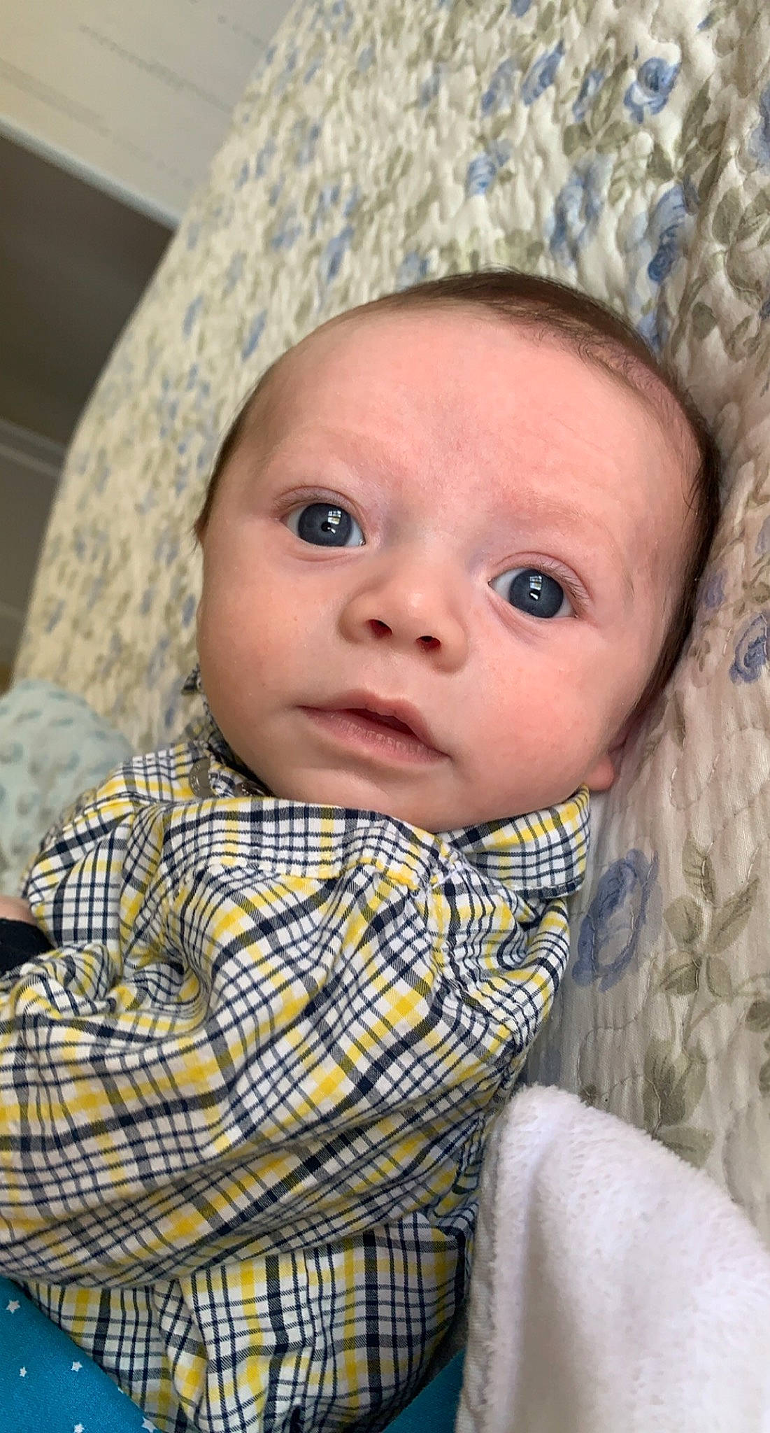 Dayvon participe au concours pour gagner de l'argent avec cette photo : baby, cheek, child, chin, design, eye, face, head, iris, lip, nose, pattern, person, plaid, skin, tartan, textile, toddler