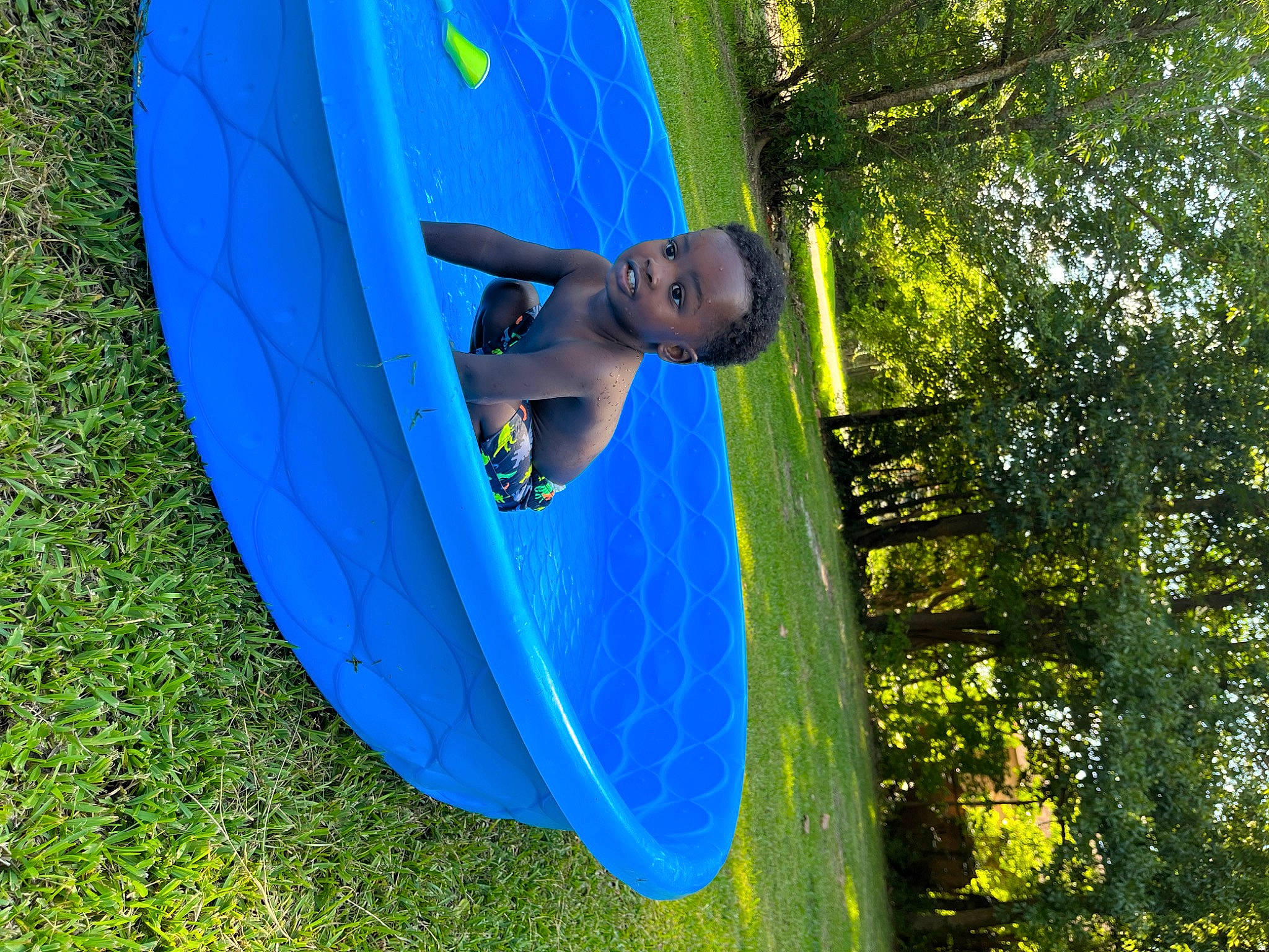 Taylan is registered to the contest to win money with this photo: chute, electric_blue, forest, fun, games, grass, grassland, inflatable, jungle, leisure, outdoor_play_equipment, outdoor_recreation, people_in_nature, person, plant, recreation, shade, tarpaulin, tints_and_shades, tree