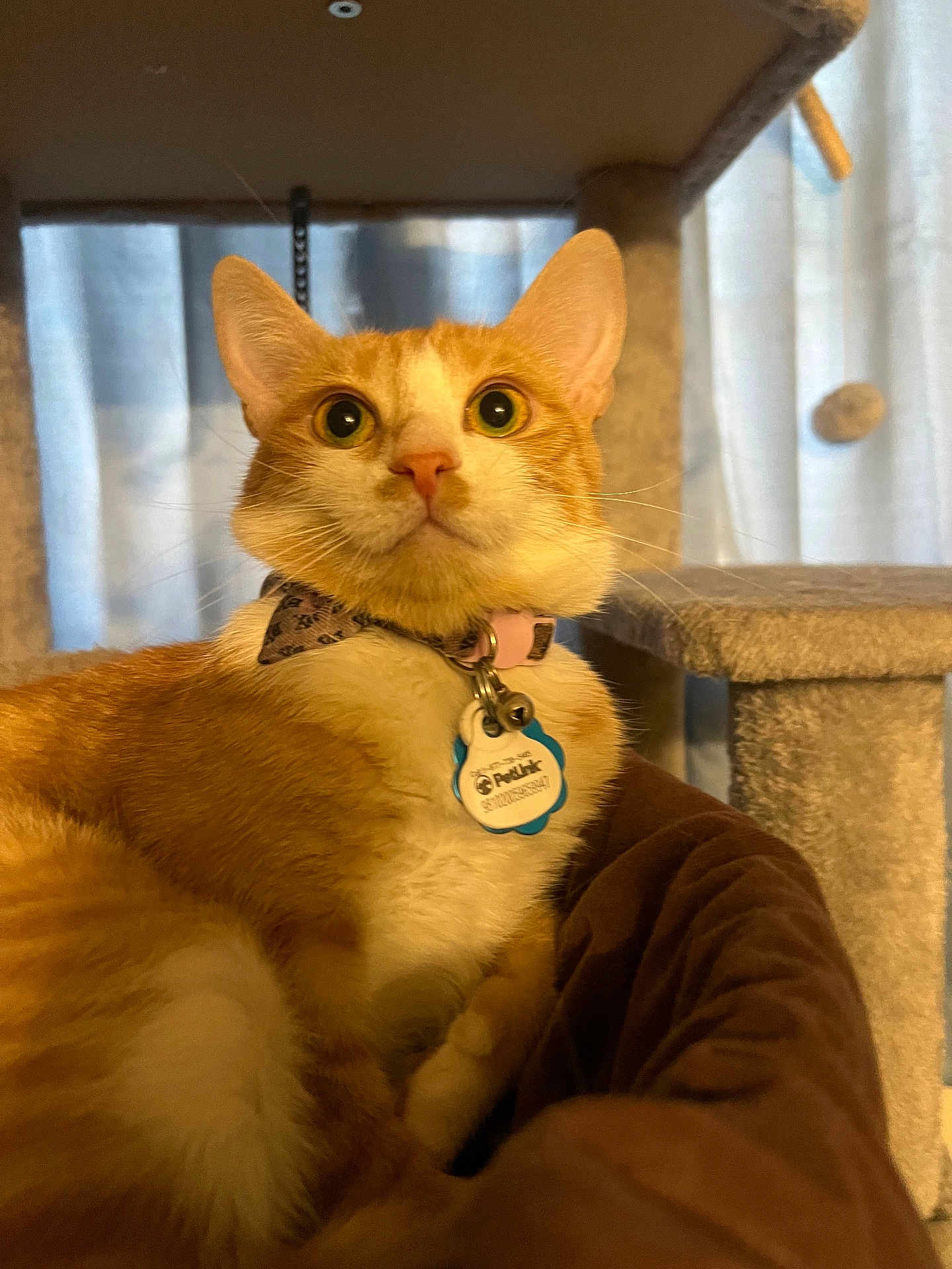 Mello