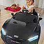 toddler, toy_car, audi, black_car, indoor, wooden_floor, dog, red_cushion, child, happy, smiling, short_hair, white_shirt, steering_wheel, pet, living_room, flooring, cute, playtime, small_dog