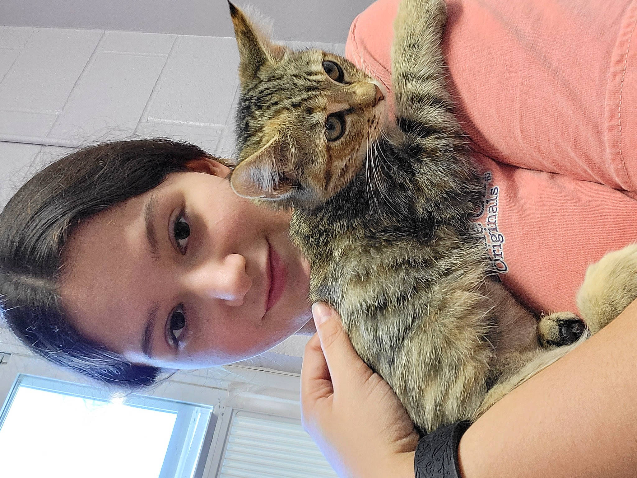 Willow is registered to the contest to win money with this photo: carnivore, cat, claw, domestic_short_haired_cat, ear, eyelash, fawn, felidae, finger, fur, gesture, happy, nail, paw, small_to_medium_sized_cats, smile, snout, watch, whiskers, wildlife_biologist