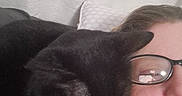 Nicky is registered to the contest to win money with this photo: black_cat, casual, cat, close_up, comfort, companion, curtain, domestic_animal, face, feline, glasses, home, indoor, person, pet, pillow, reflection, relaxed, selfie, shoulder