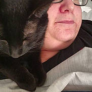 Nicky joined the competition — help win amazing prizes! person, cat, black_cat, glasses, resting, bed, blanket, close_up, indoor, relaxation, comfort, sleepy, face, pet, snuggle, cozy, eyewear, human, warm, casual