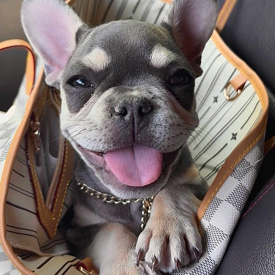Coco
