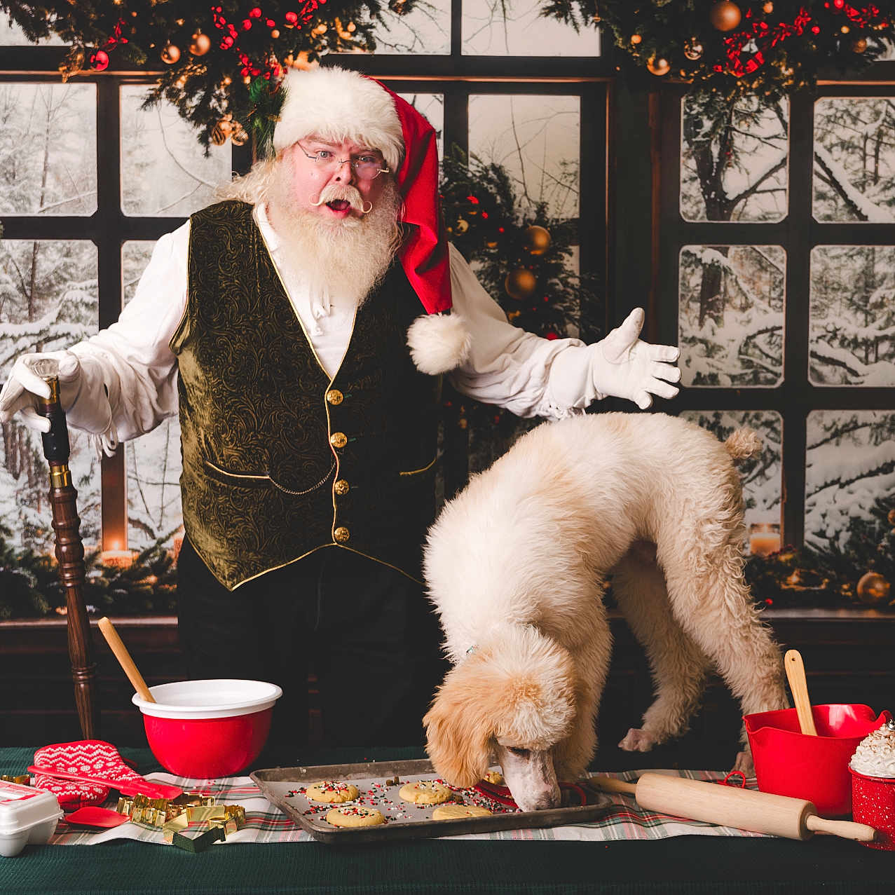 Que is registered to the contest to win money with this photo: baking, beard, christmas, cookie, decorations, dog, gloves, hat, holiday, kitchen, mixing_bowl, mug, rolling_pin, santa_claus, snow, sprinkles, table, vest, window, wooden_spoon