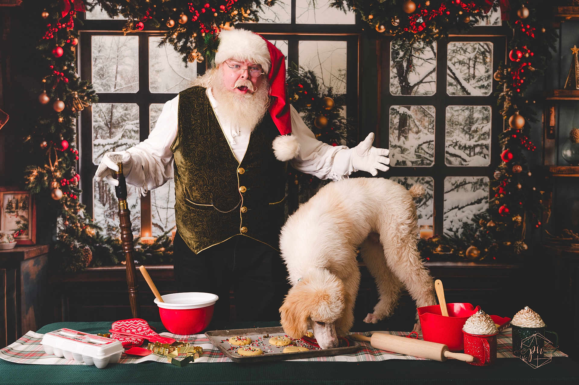 Que is registered to the contest to win money with this photo: santa_claus, dog, cookie, kitchen, holiday, christmas, baking, decorations, window, snow, table, mixing_bowl, rolling_pin, gloves, vest, beard, hat, sprinkles, mug, wooden_spoon