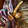 Travis joined the competition — help win amazing prizes! cat, kitten, orange_cat, sleeping, sleepy, pet, animal, fur, whiskers, closed_eyes, pink_nose, cozy, blanket, fleece, couch, indoors, nap, relaxed, cute, portrait