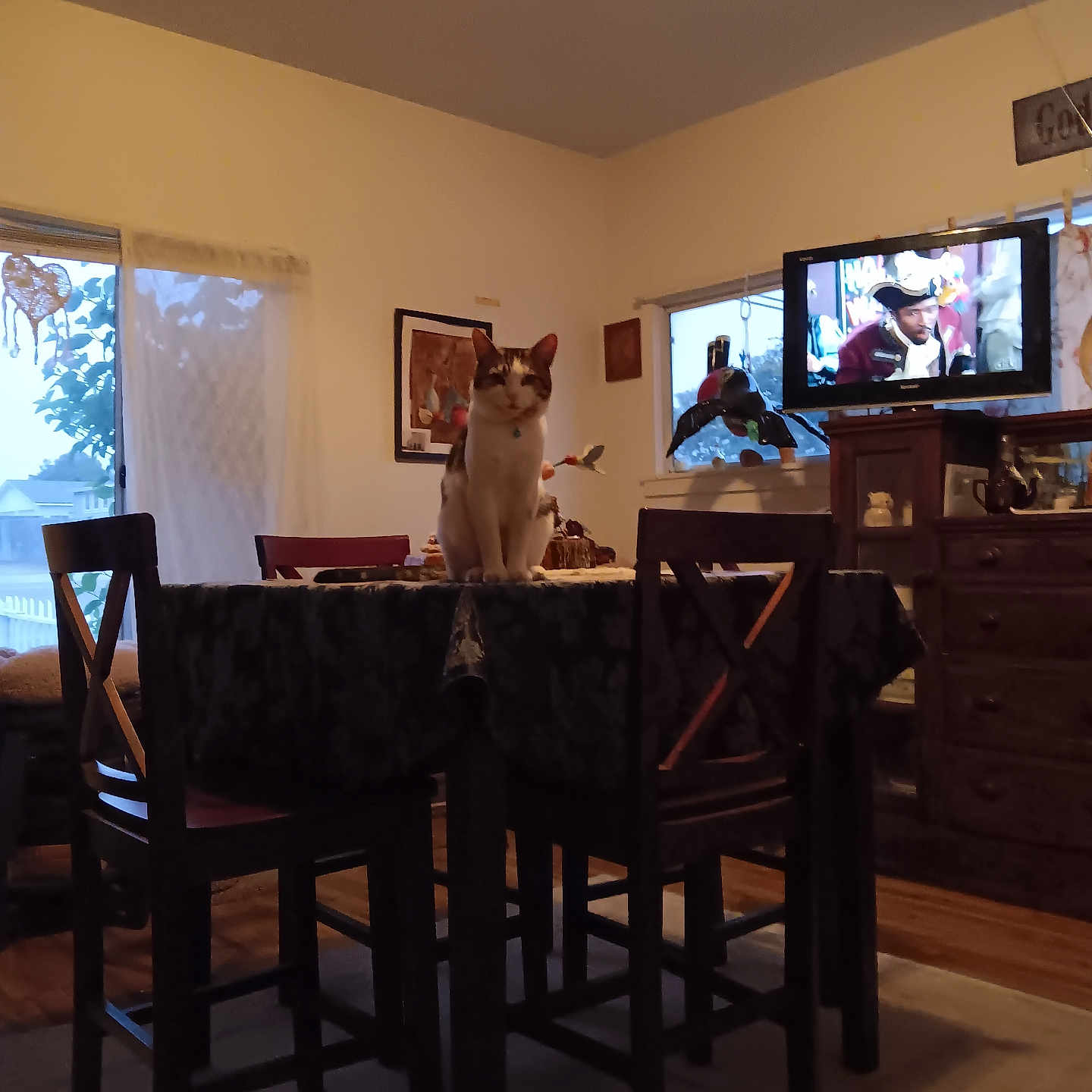 Mr. Kiwi joined the competition — help win amazing prizes! architecture, building, computerhardware, desk, diningroom, diningtable, electronics, entertainmentcenter, furniture, hardware, hardwood, indoors, interiordesign, livingroom, monitor, room, screen, table, tv, wood