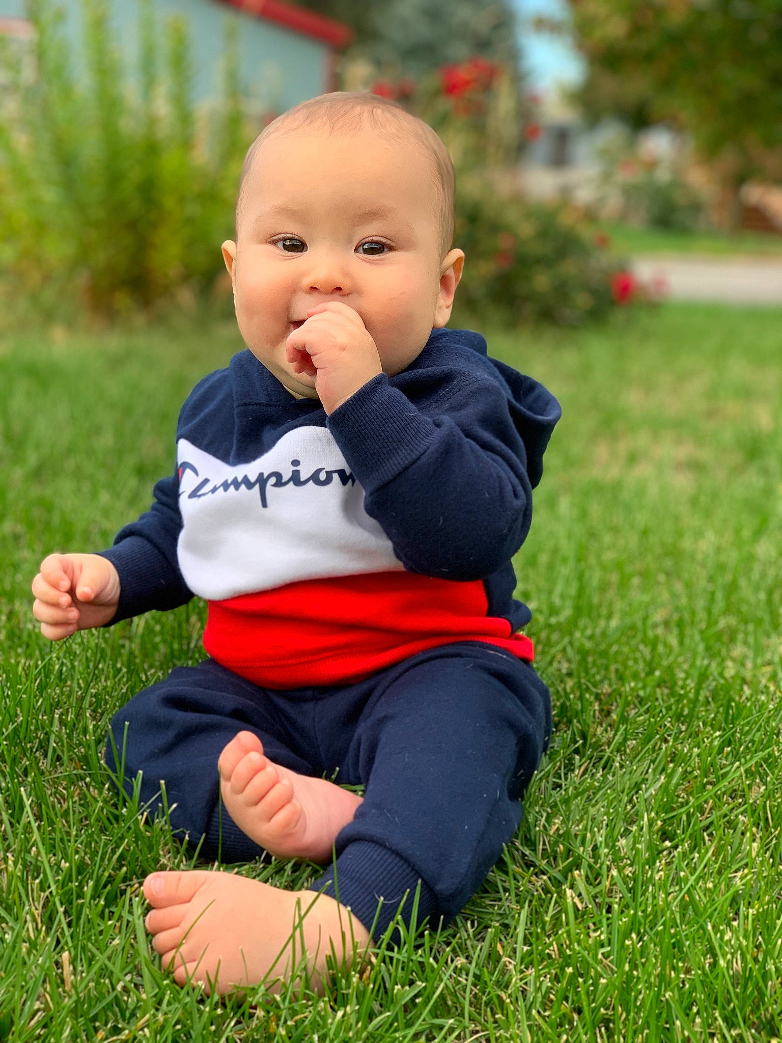 Raiden joined the competition — help win amazing prizes! baby, baby_toddler_clothing, child, flash_photography, formal_wear, fun, grass, grass_family, grassland, happy, lawn, leisure, outerwear, people_in_nature, person, plant, sitting, sleeve, standing, toddler