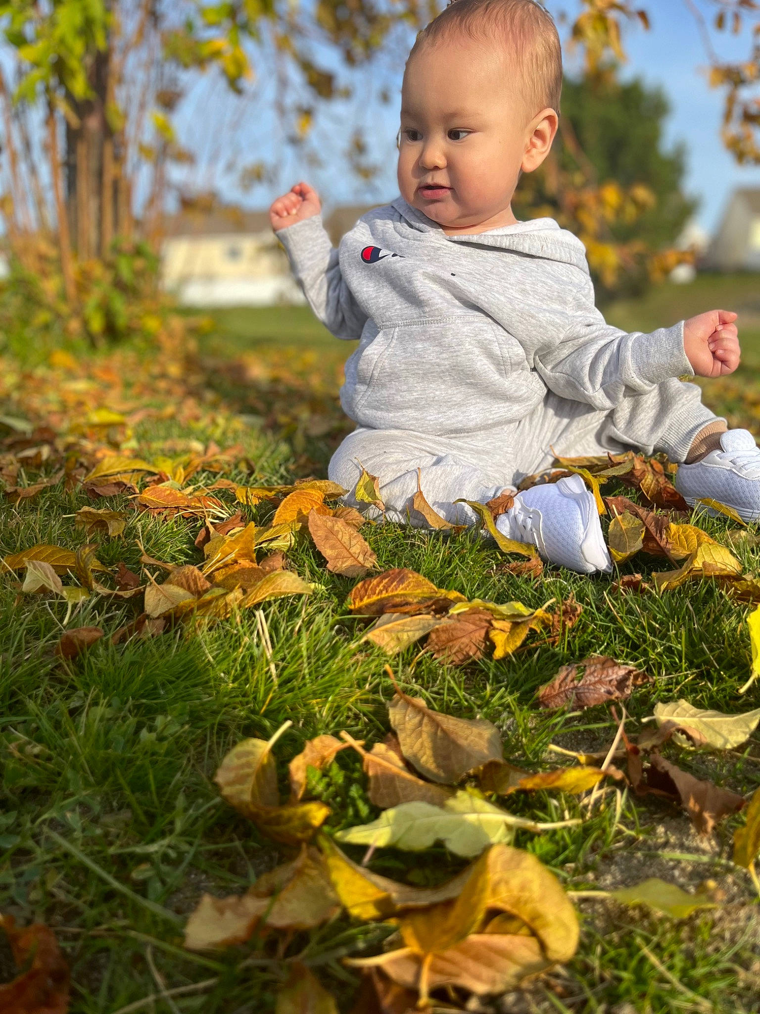Raiden is registered to the contest to win money with this photo: baby, baby_toddler_clothing, beauty, deciduous, dress, eye, grass, happy, head, leaf, people_in_nature, person, plant, playing_with_kids, pumpkin, sky, sunlight, toddler, tree, wood