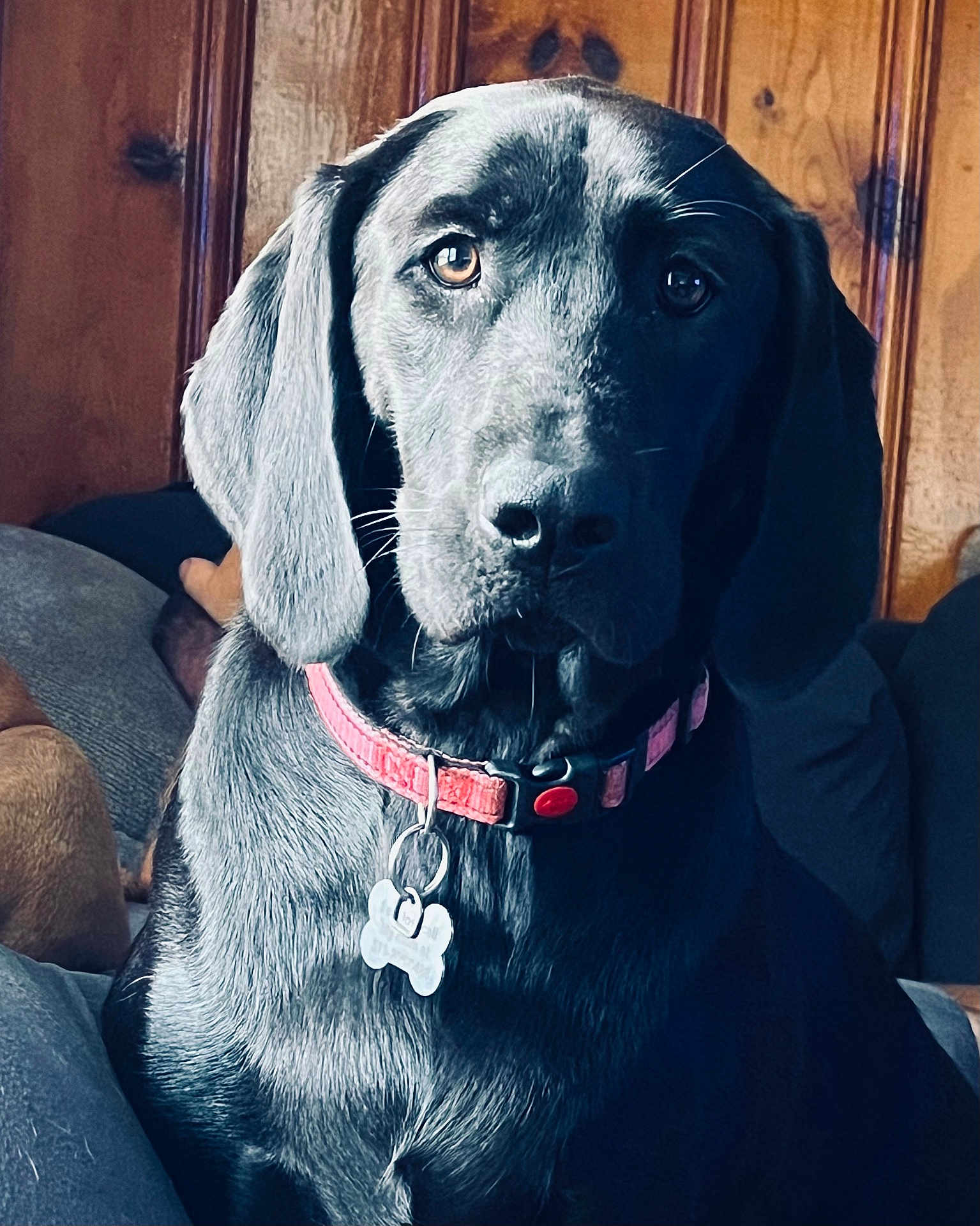 Georgia
