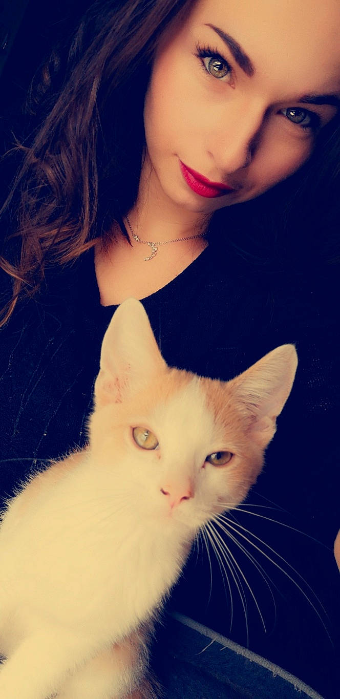 Roucky participe au concours pour gagner de l'argent avec cette photo : beauty, cat, cheek, ear, eye, eyebrow, face, felidae, fur, hair, head, khao_manee, lip, nose, skin, small_to_medium_sized_cats, turkish_angora, turkish_van, whiskers, white